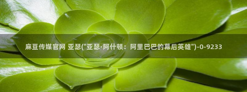 麻豆工作传媒官网：麻豆传媒官网 亚瑟(\