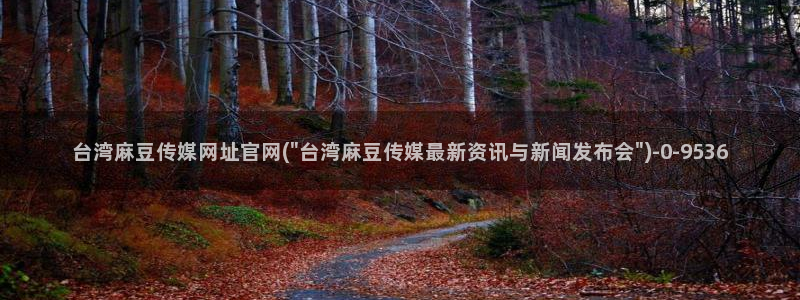 麻豆文化传媒官网ios：台湾麻豆传媒网址官网(\