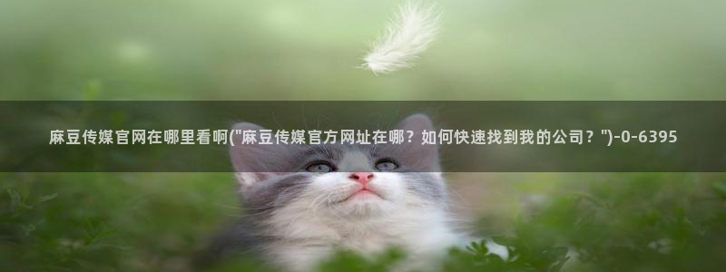 麻豆传媒映画传媒官网：麻豆传媒官网在哪里看啊(\