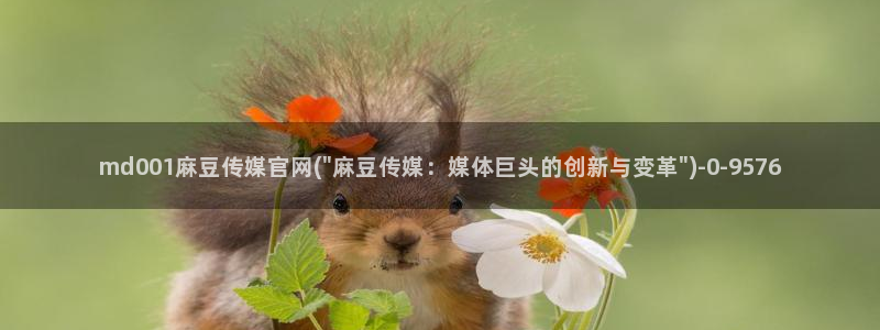 麻豆传媒官网播放：md001麻豆传媒官网(\