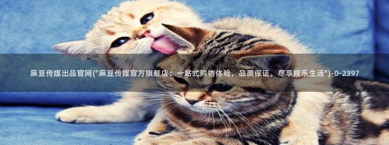 麻豆传媒官网多少啊：麻豆传媒出品官网(\
