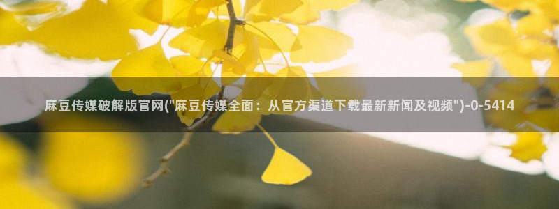 麻豆传媒官网在哪看：麻豆传媒破解版官网(\