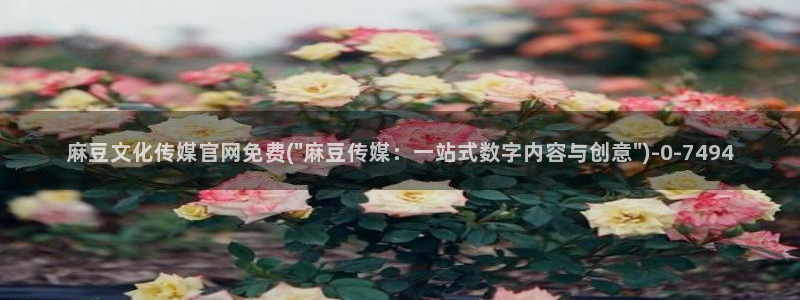 麻豆传媒官网芭乐视频：麻豆文化传媒官网免费(\