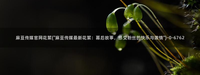麻豆传媒app官网最新：麻豆传媒官网花絮(\