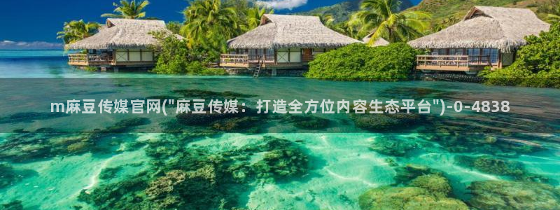 麻豆传媒映视官网