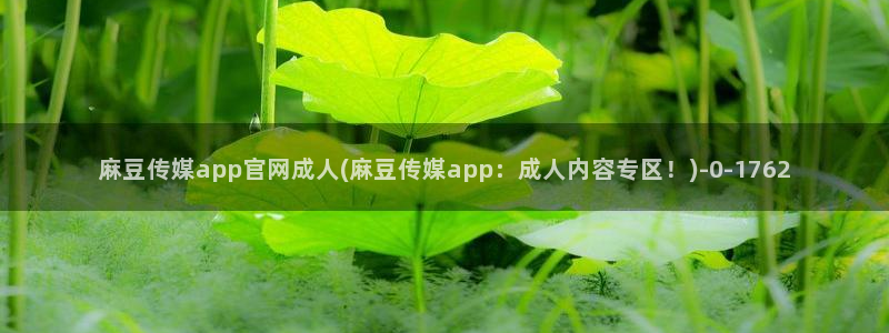 麻豆文化传媒 官网