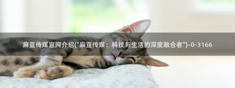 麻豆AV传媒在线官网