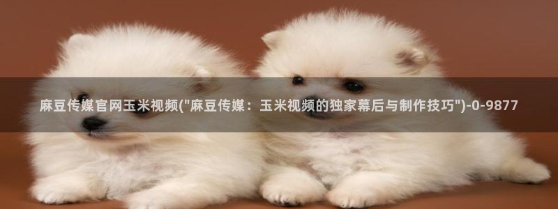麻豆床传媒官网