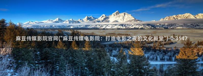 m麻豆传媒官网