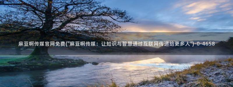 麻豆日记传媒官网