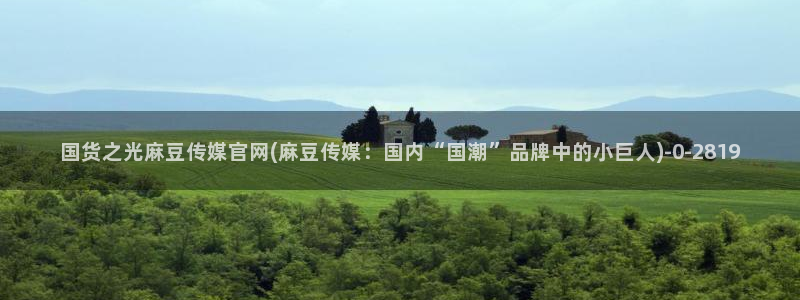 麻豆传媒印画官网：国货之光麻豆传媒官网(麻豆传媒：国内“国潮”品牌中的小巨人)