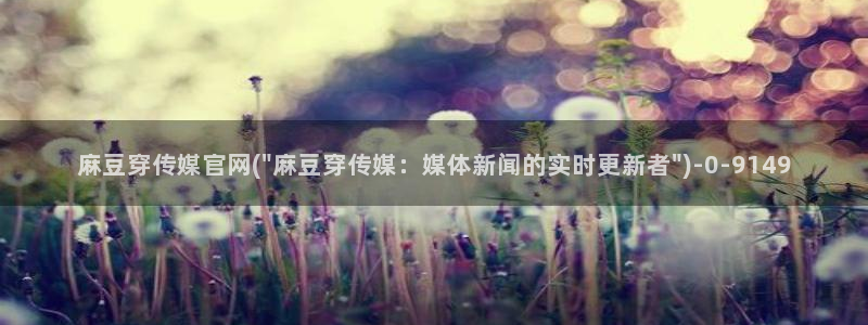 麻豆传媒官网原创：麻豆穿传媒官网(\