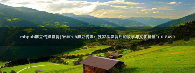 麻豆传媒官网成员